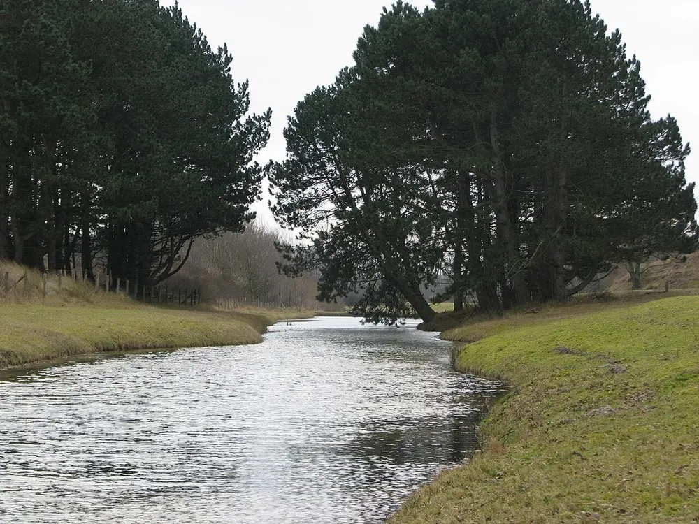 Rechte waterloop met grasoevers door een duingebied, aan beide kanten geflankeerd door grove dennen onder een bewolkte lucht